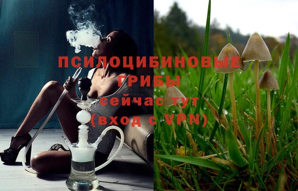 герыч Новозыбков