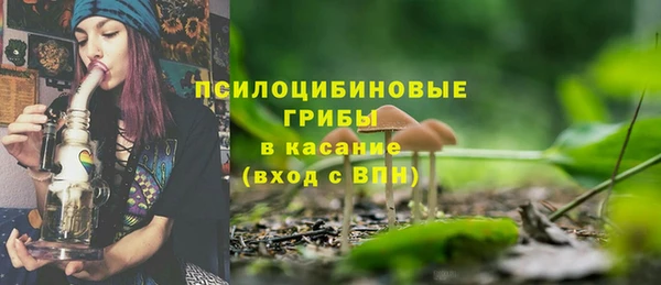 герыч Новозыбков